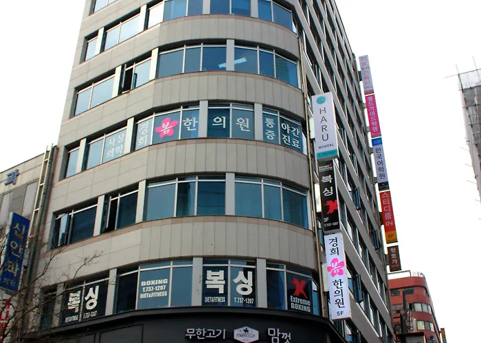 하루